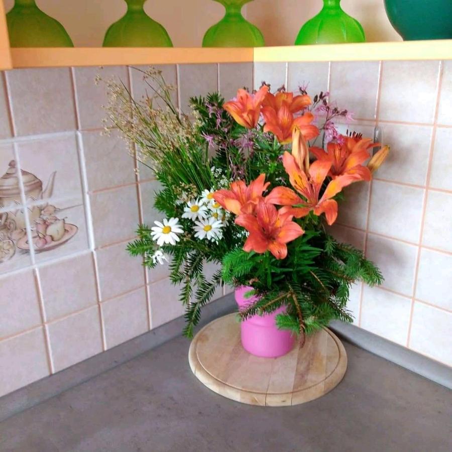 Apartment Petra Мркопали Екстериор снимка