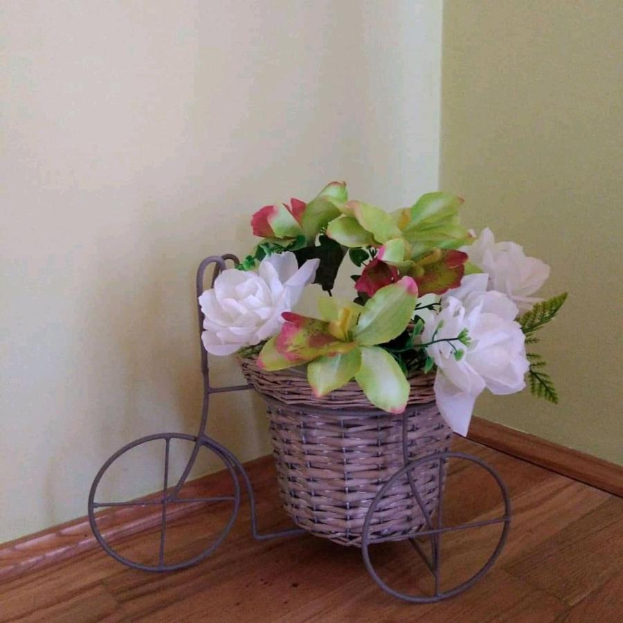 Apartment Petra Мркопали Екстериор снимка